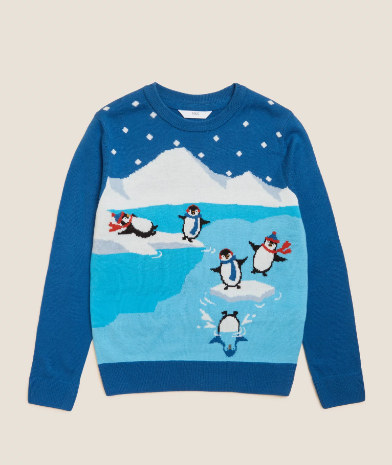 Mini Me Penguin Christmas Jumper (6-16 Yrs)